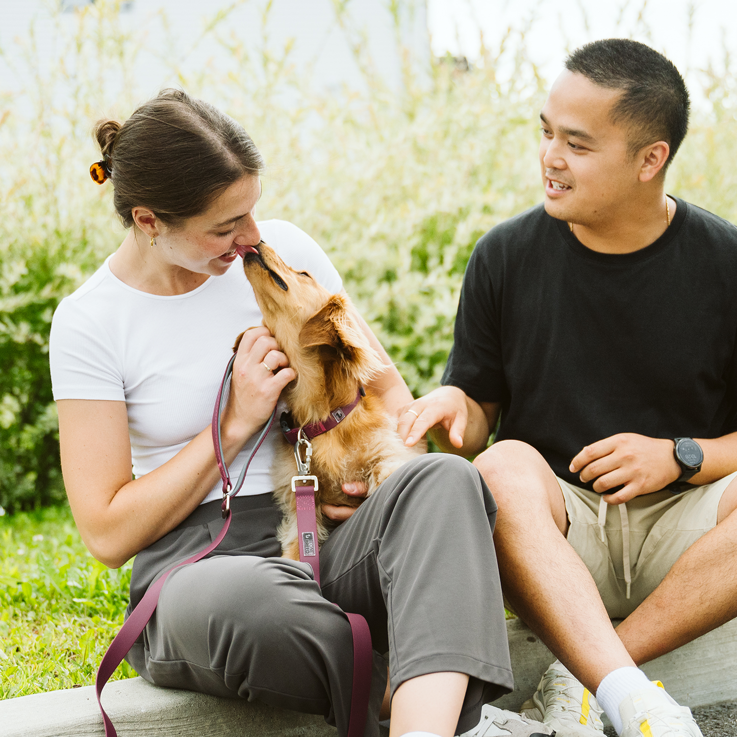 Laisse multifonction en silicone pour chien
