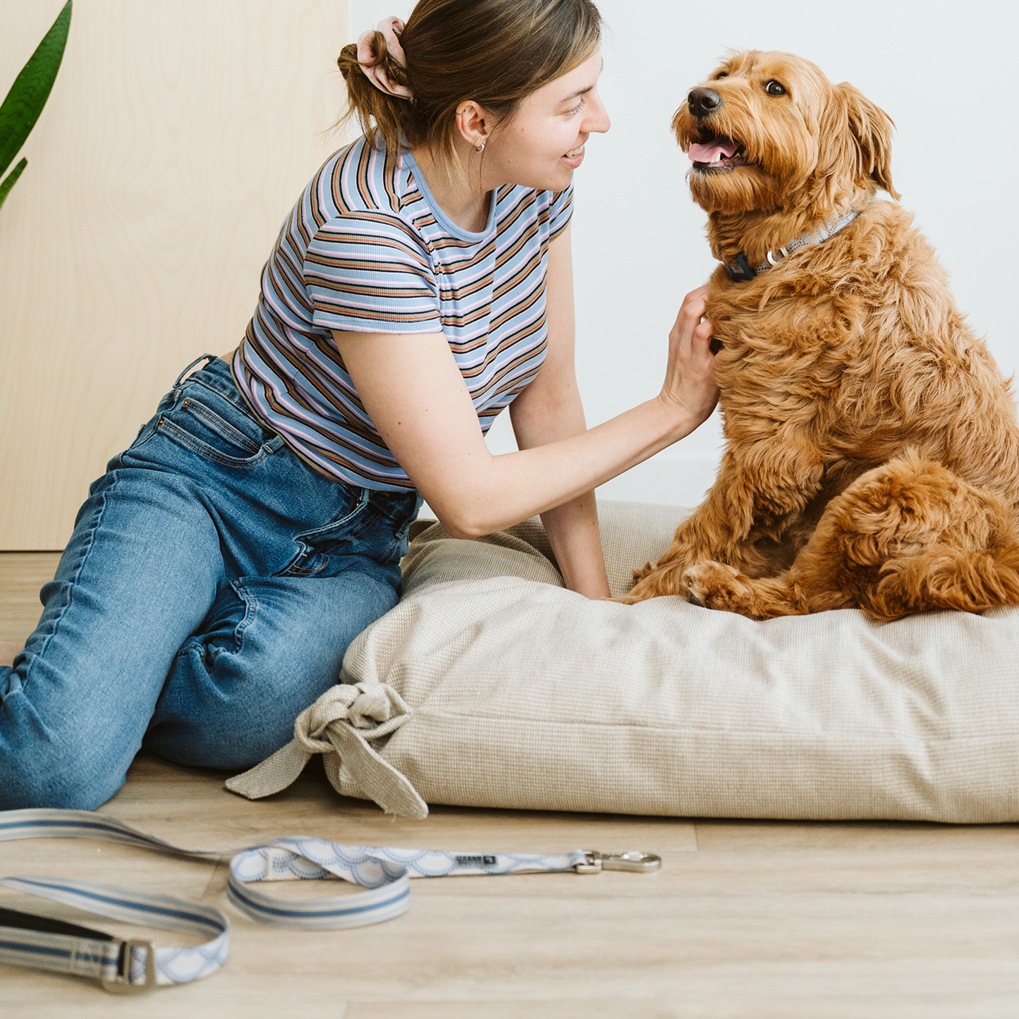 Laisse multifonction en silicone pour chien