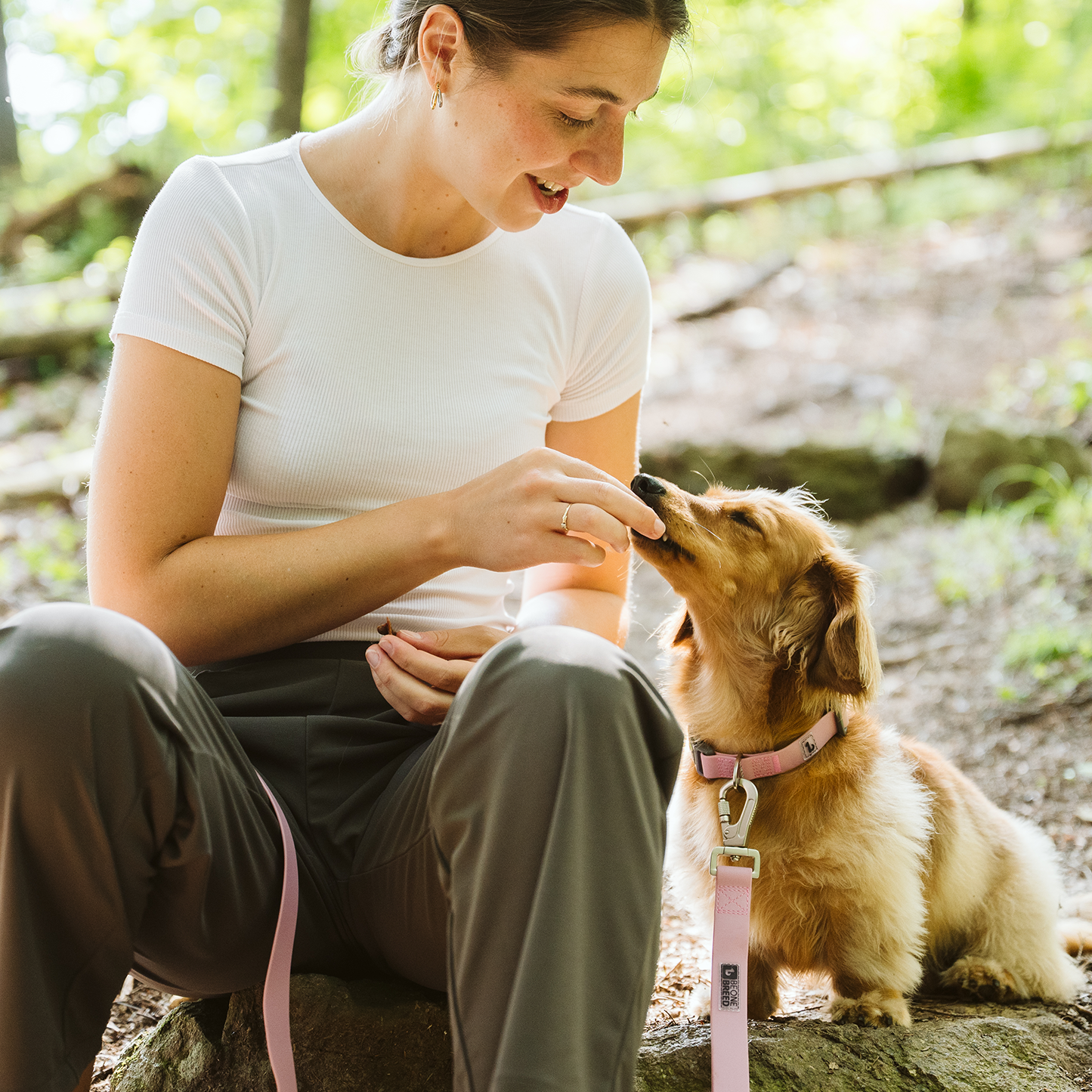 Laisse multifonction en silicone pour chien