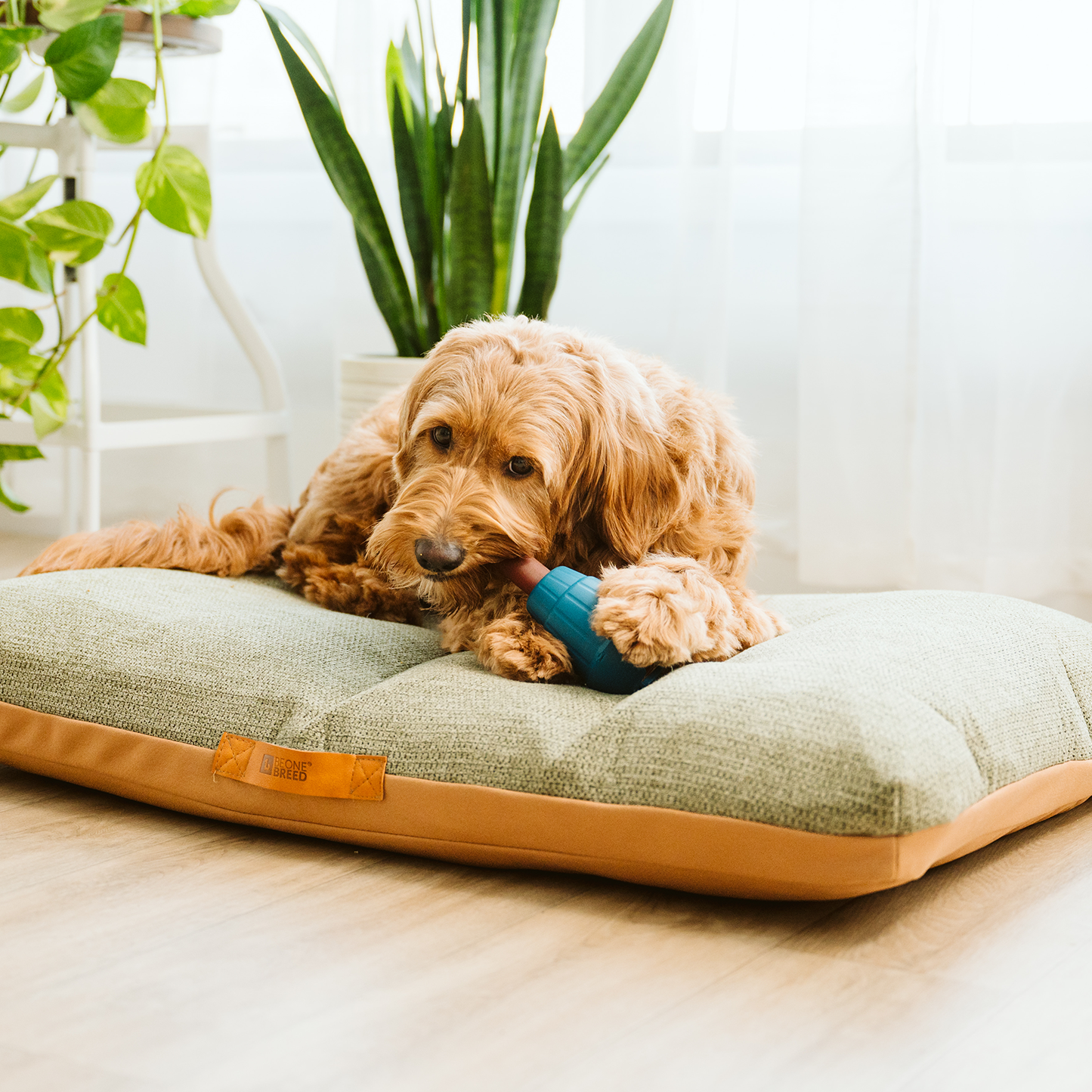 Sky/Diamond bed spare cover, 2 sizes