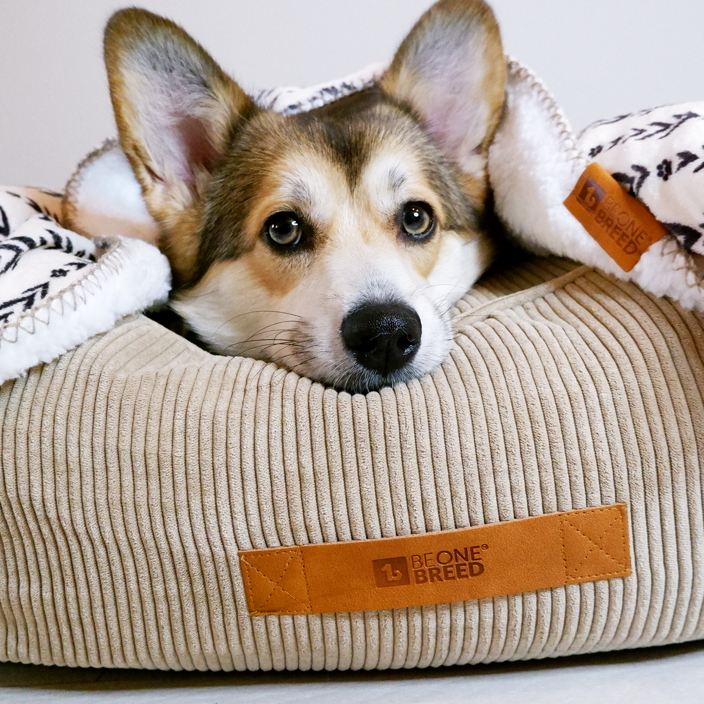 Memory foam dog bed with headrest, beige