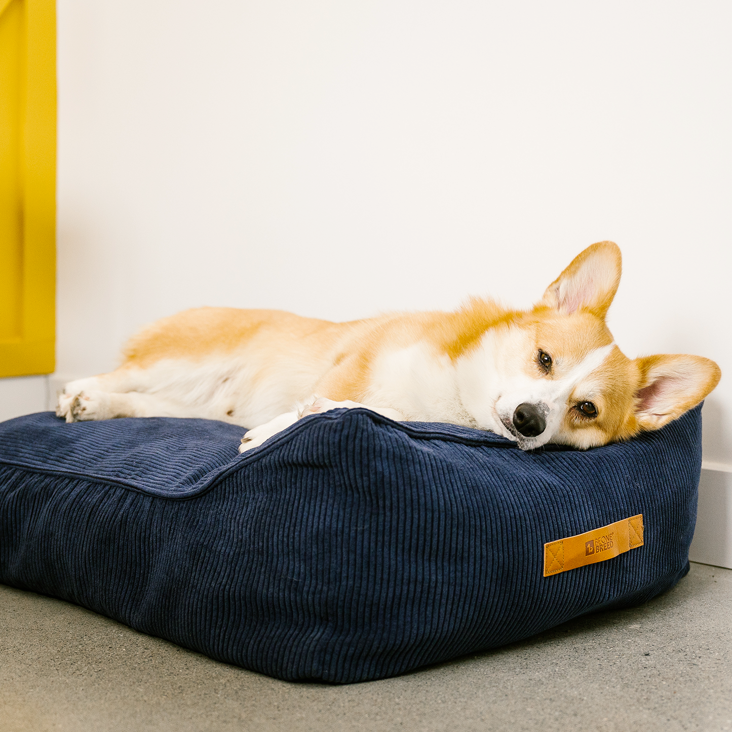 Memory foam dog bed with headrest, navy blue