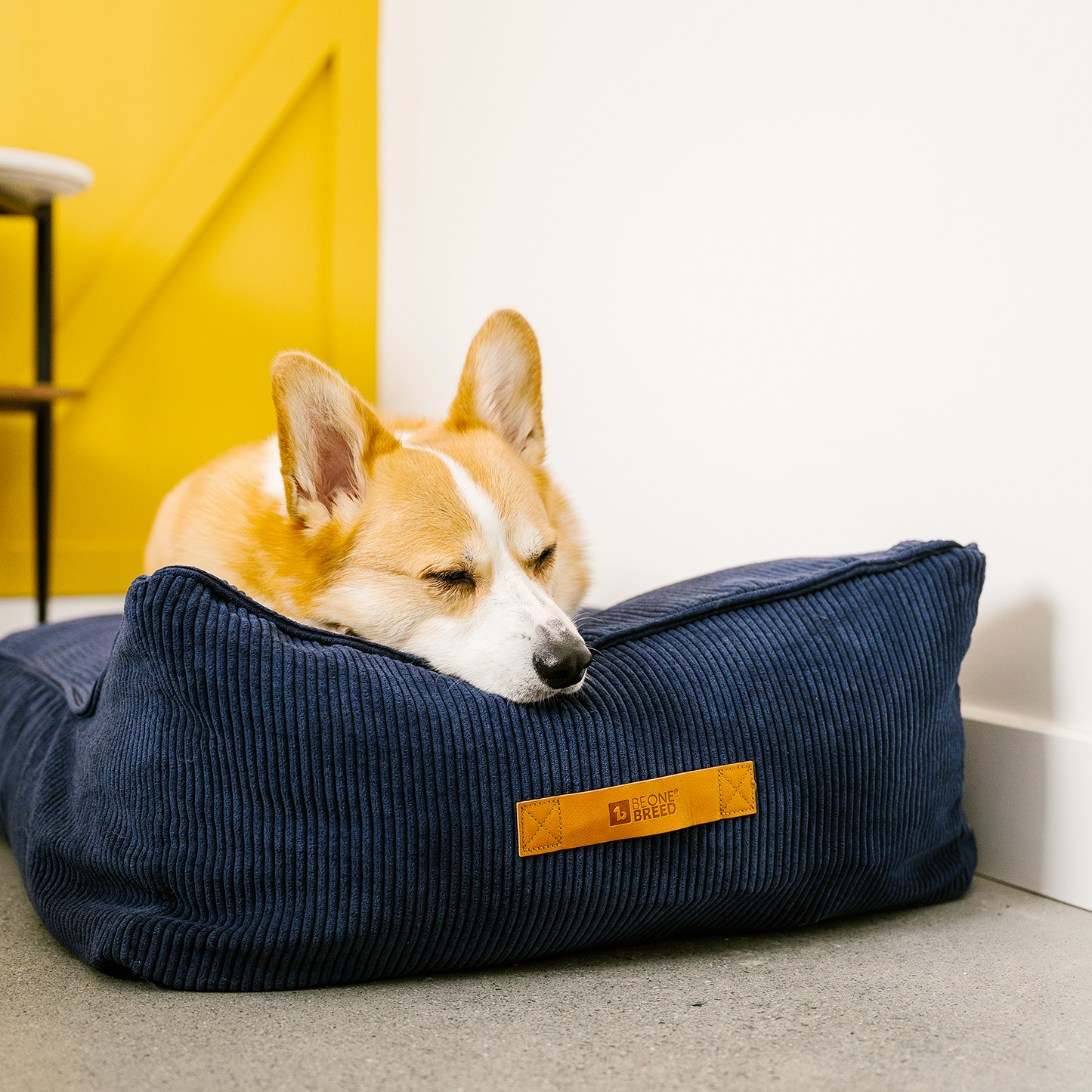Therapet bed spare cover, 2 sizes