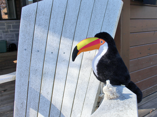 Plush toy for dog, toucan style