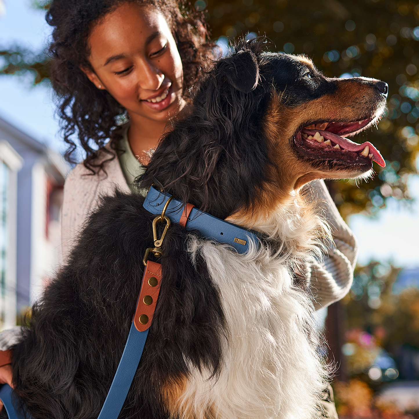 Collier luxe imperméable pour chien