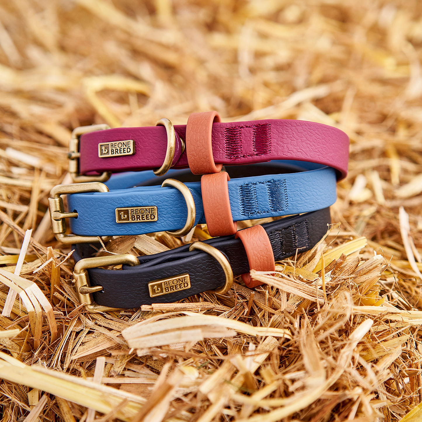 Collier luxe imperméable pour chien