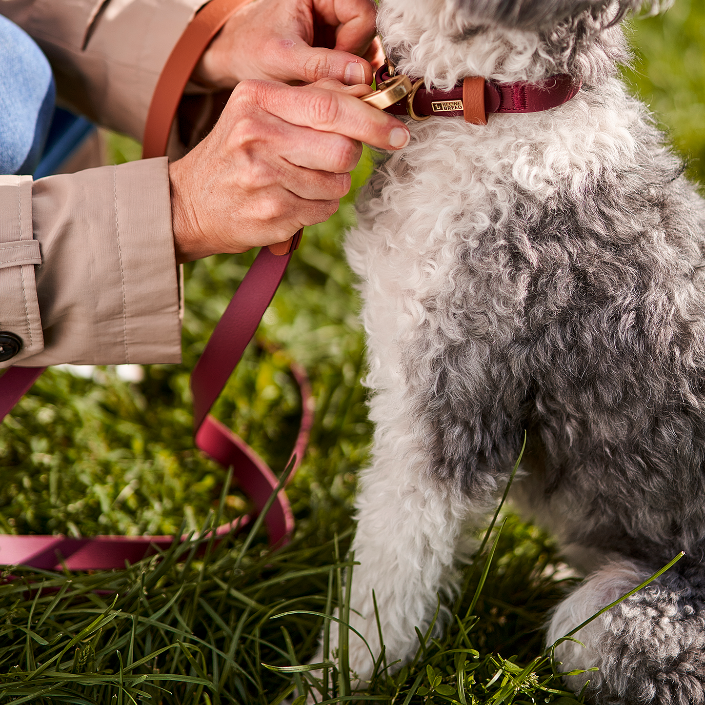 Luxe waterproof dog leash