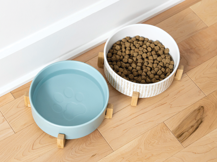 Ceramic bowl on wood pilotis for pet
