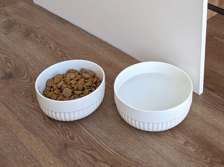 Decorative ceramic bowl for pet, white