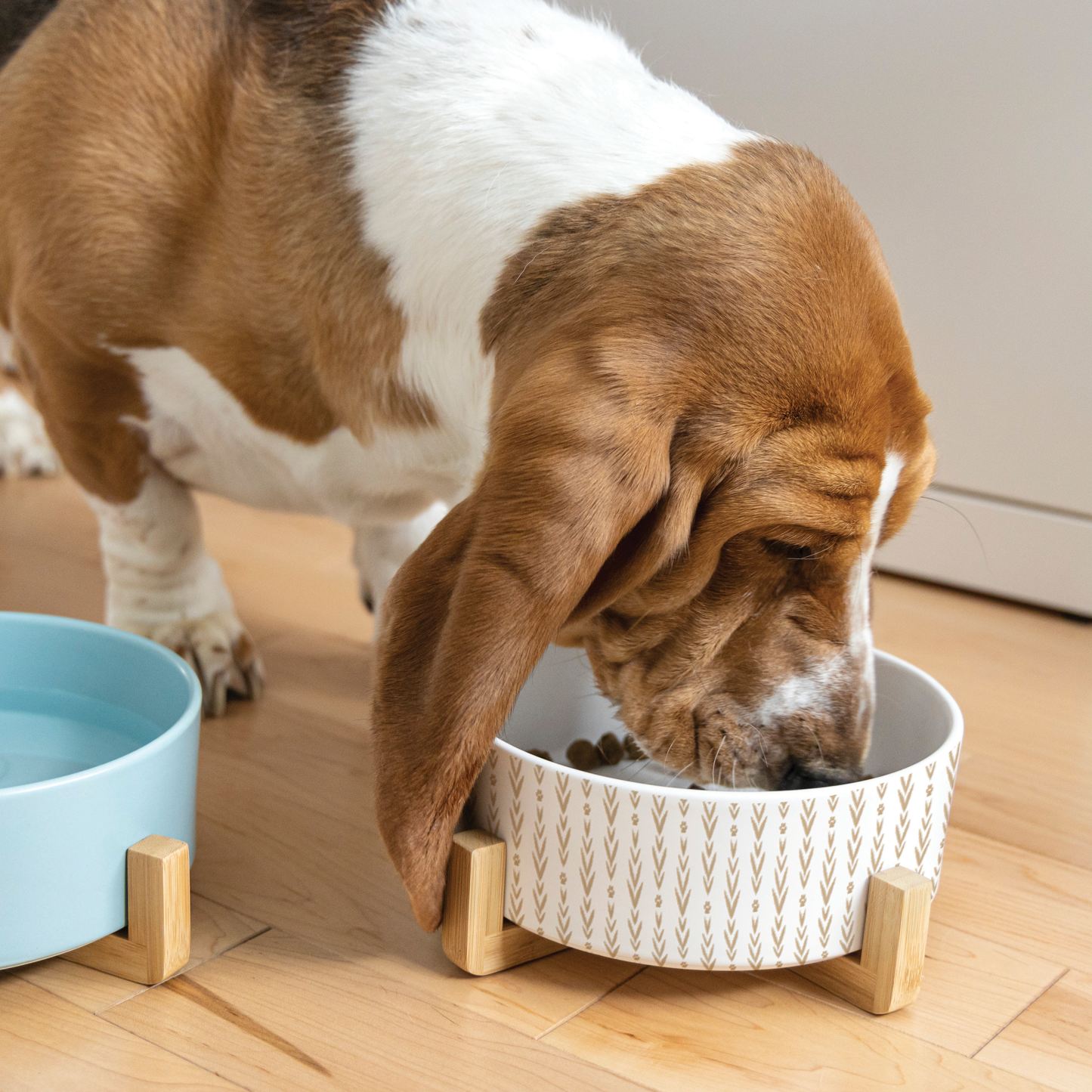 Ceramic bowl on wood pilotis for pet, lakewood