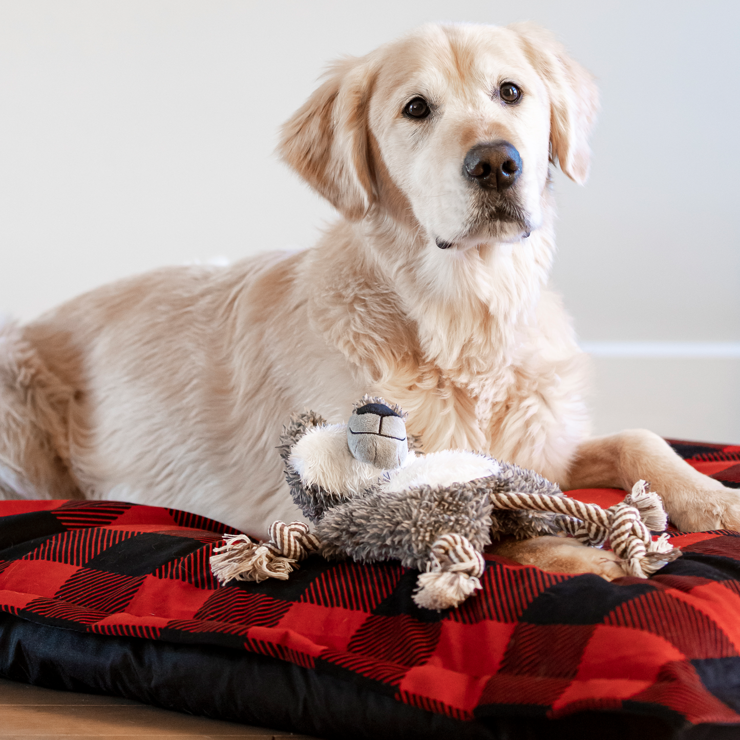 Supplementry cloud dog bed cover