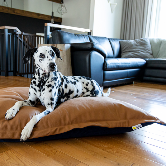 Supplementry cloud dog bed cover, reversible corduroy