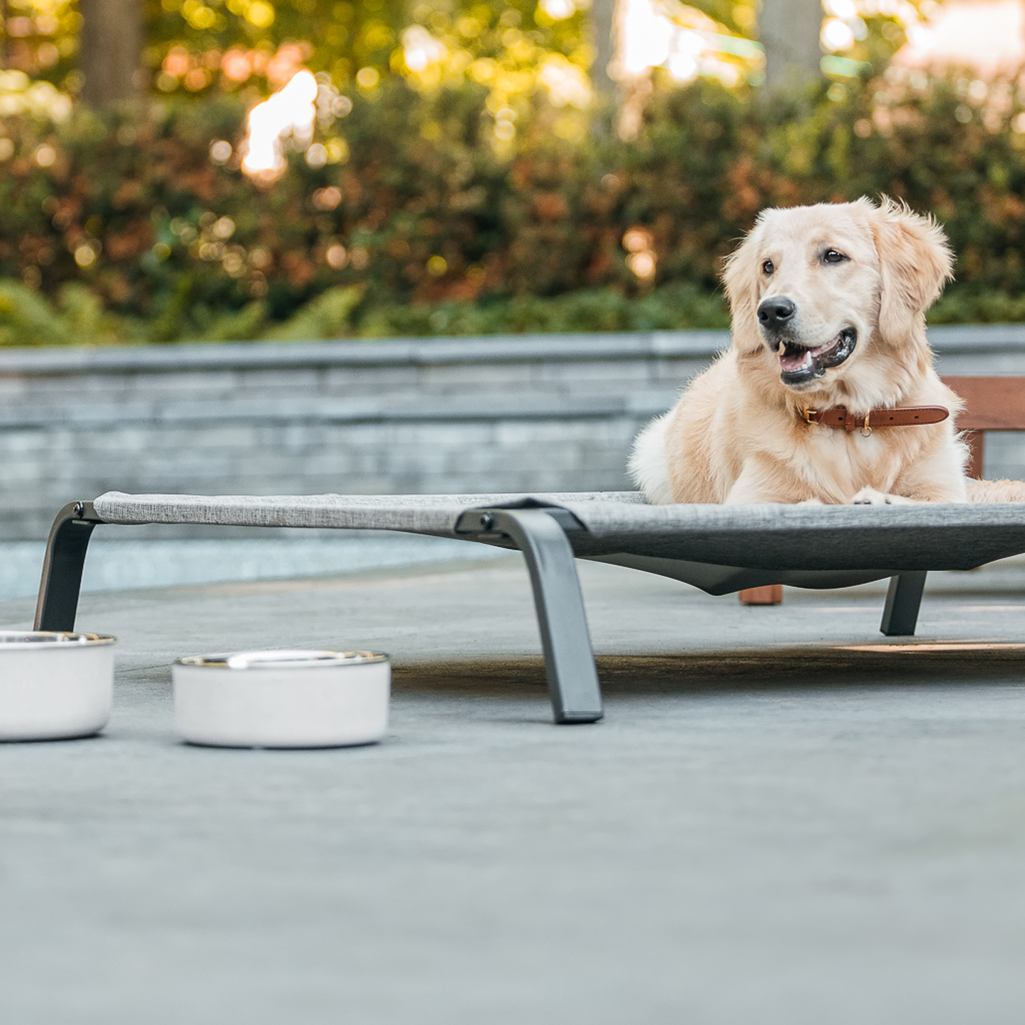 Concrete bowl for pet, gray