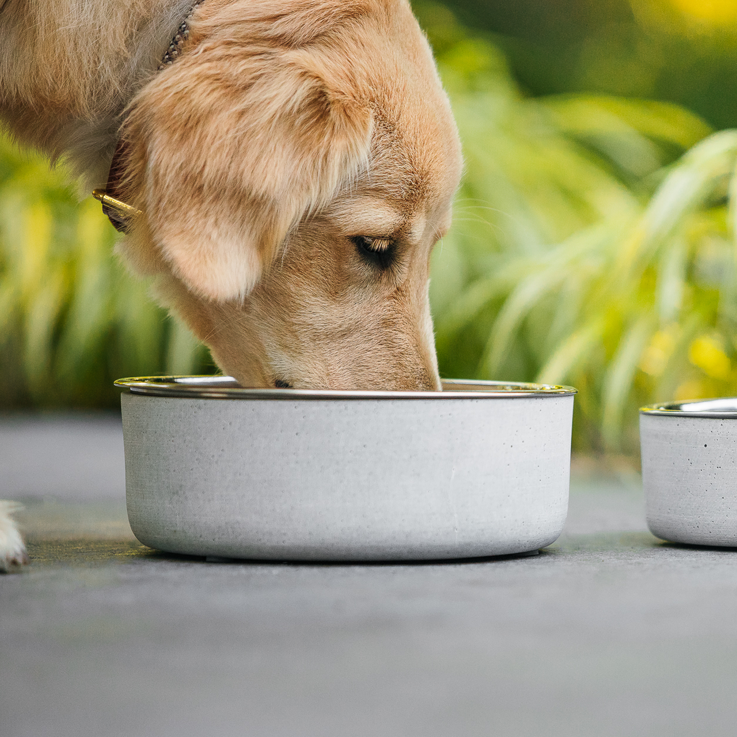 Concrete bowl for pet, gray