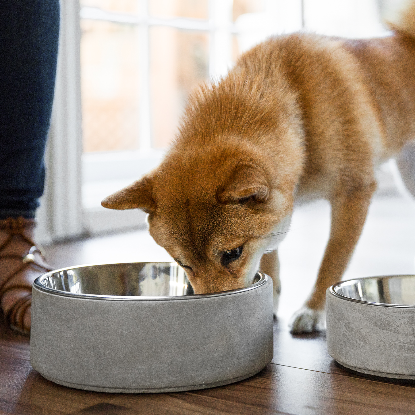 Concrete bowl for pet, gray