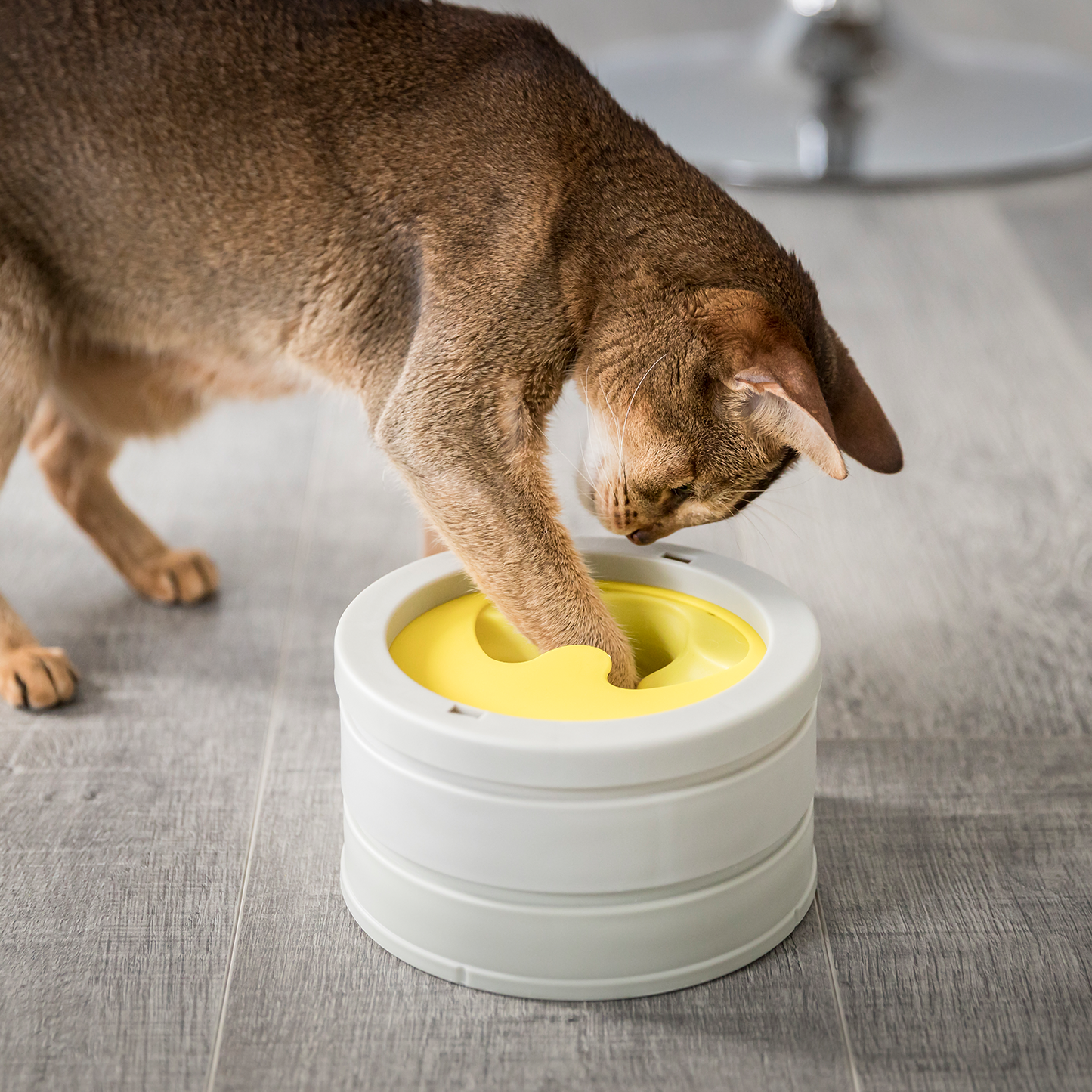 Intellikatt award winning interactive cat bowl