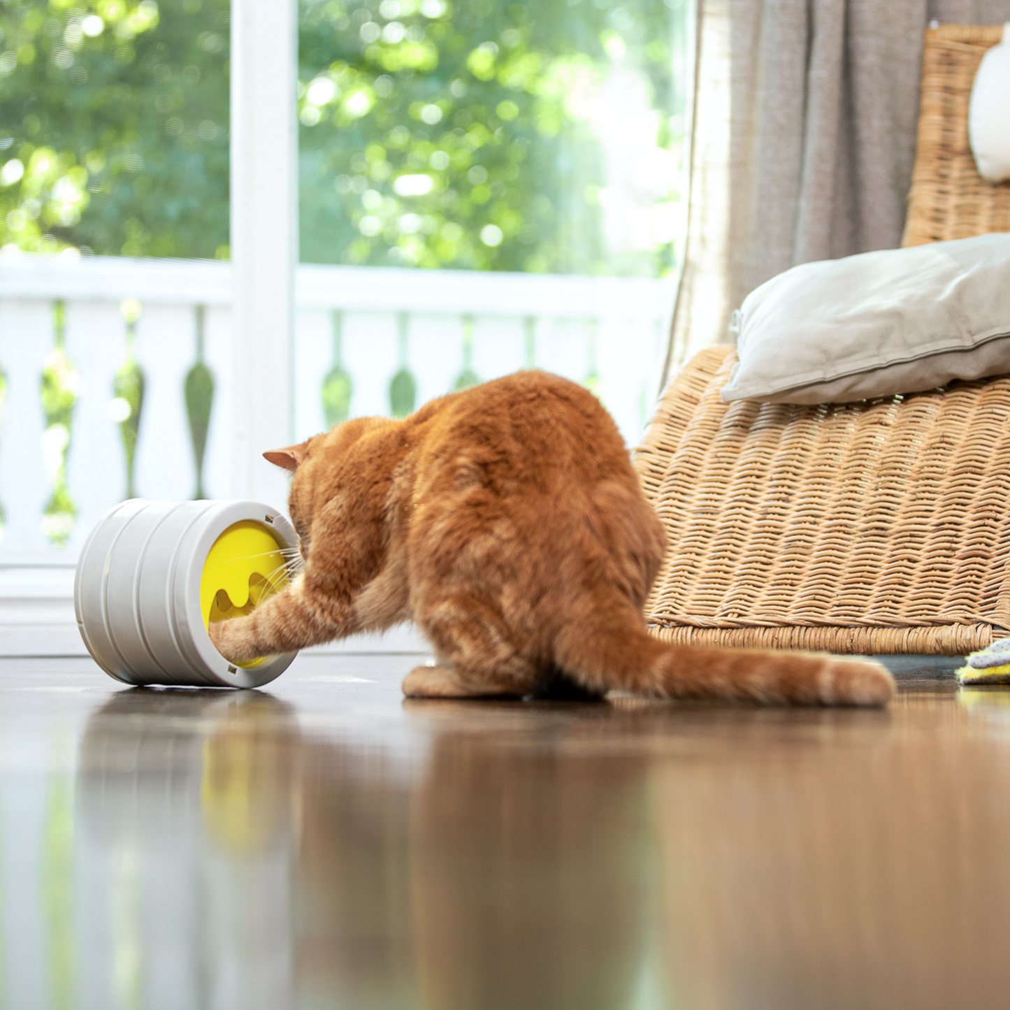 Intellikatt award winning interactive cat bowl