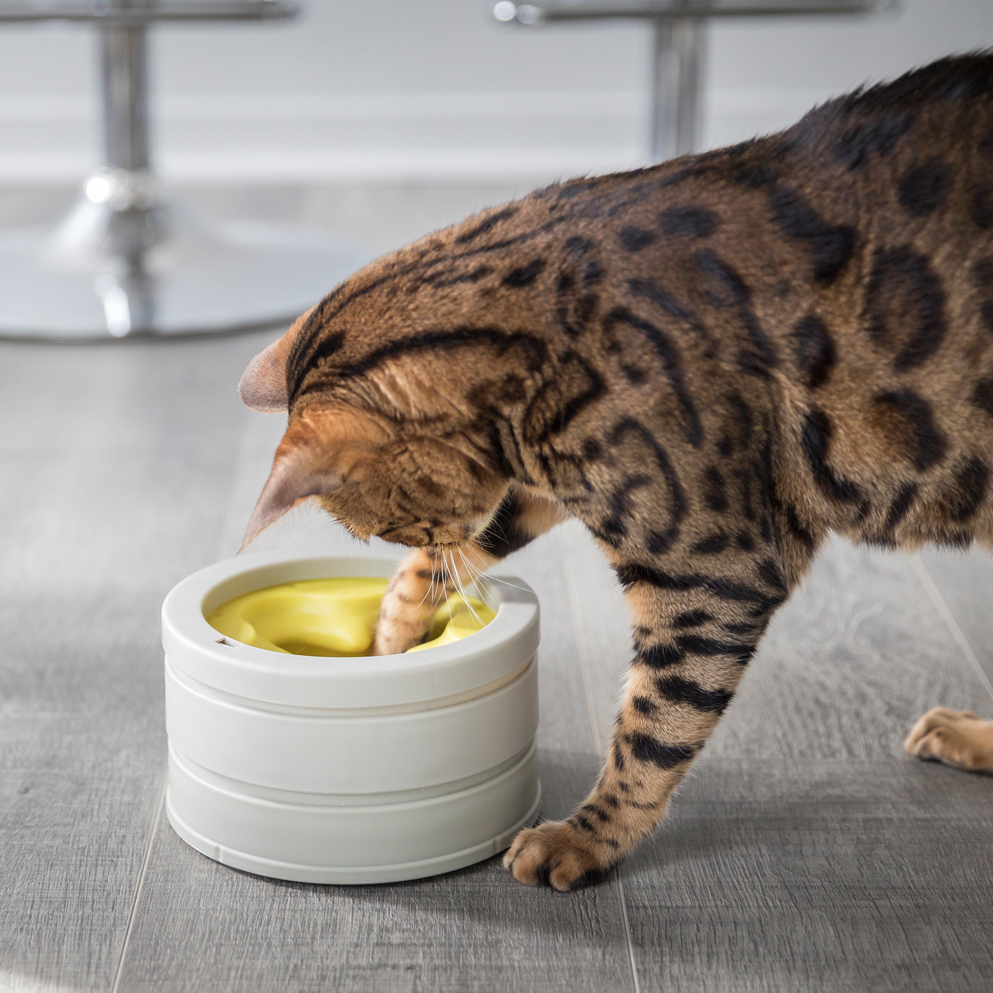 Intellikatt award winning interactive cat bowl