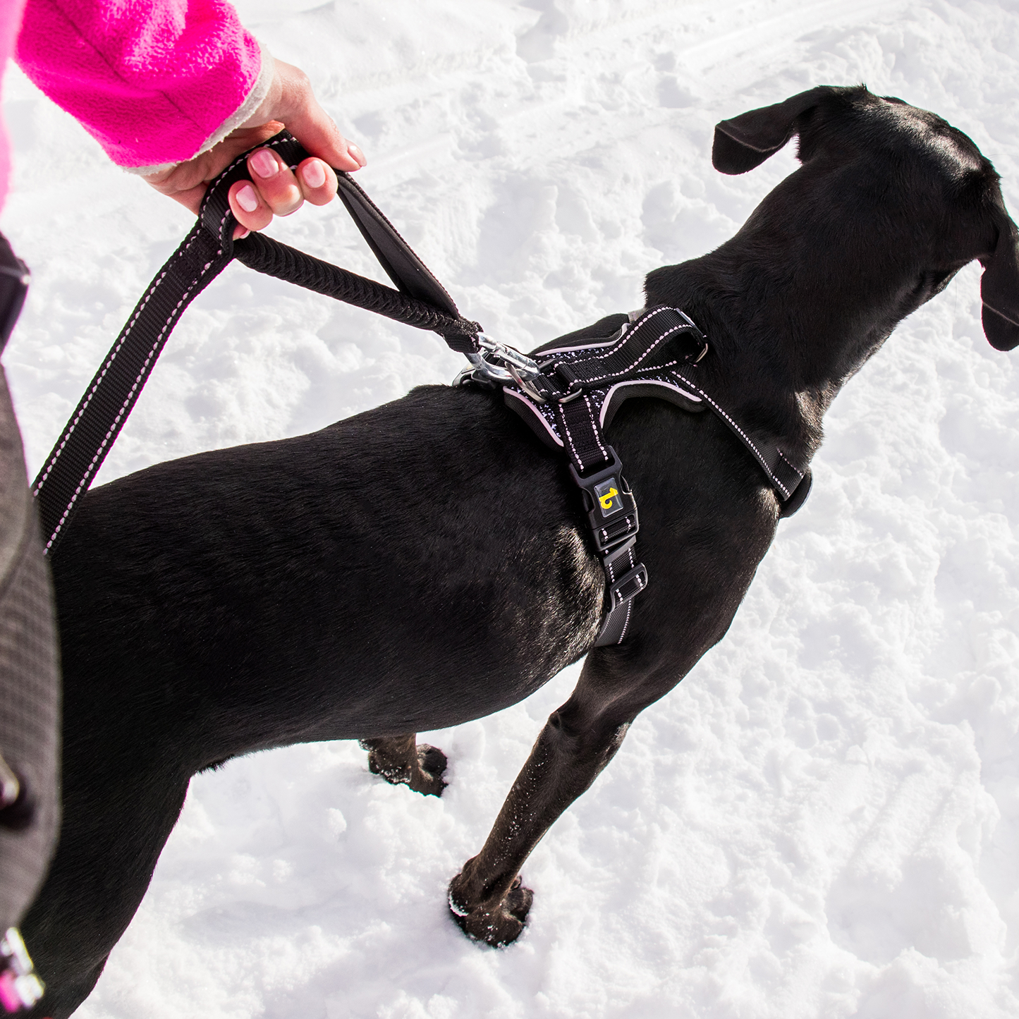 Mesh comfy harness for dog, black