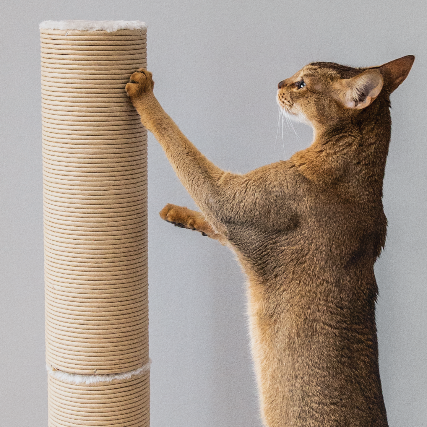 Paper rope scratcher pole for cat, beige