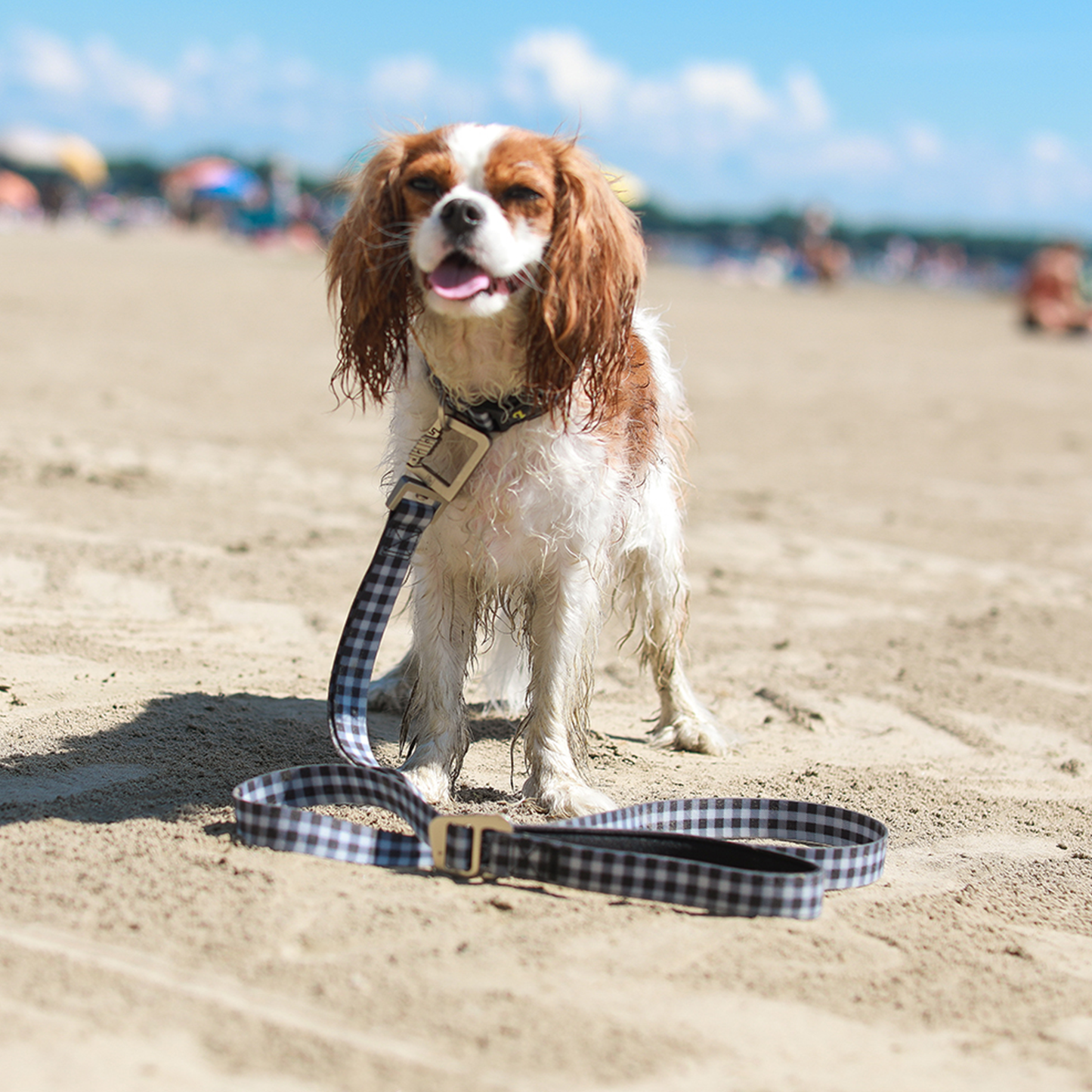 Silicone collar for dog, black plaid style