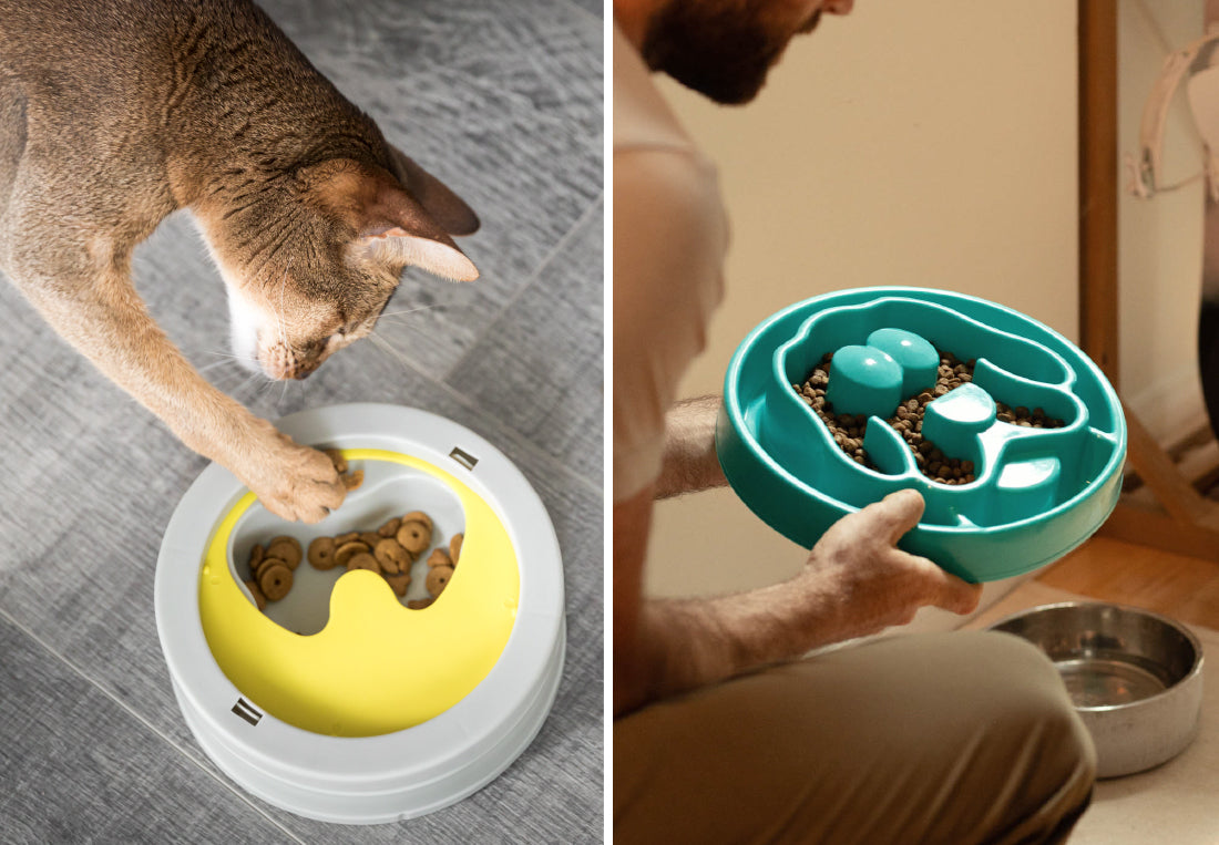 Banner with example slow feeders for cats and dogs