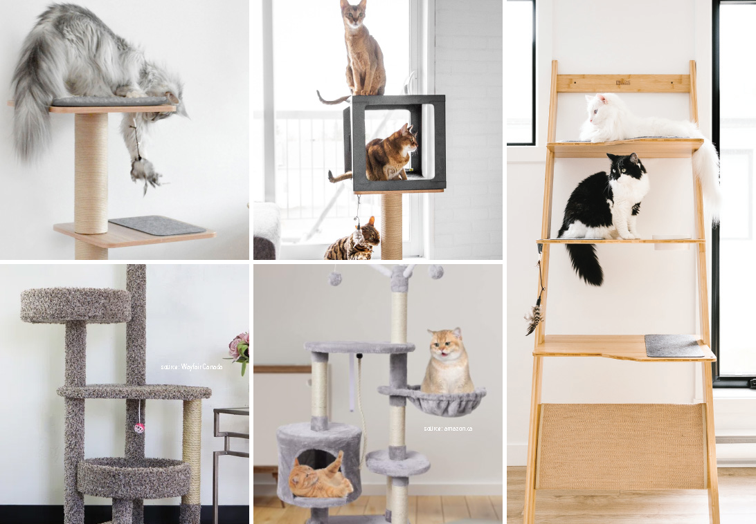 Deciphering the Ideal Cat Tree: comparative guide – BeOneBreed
