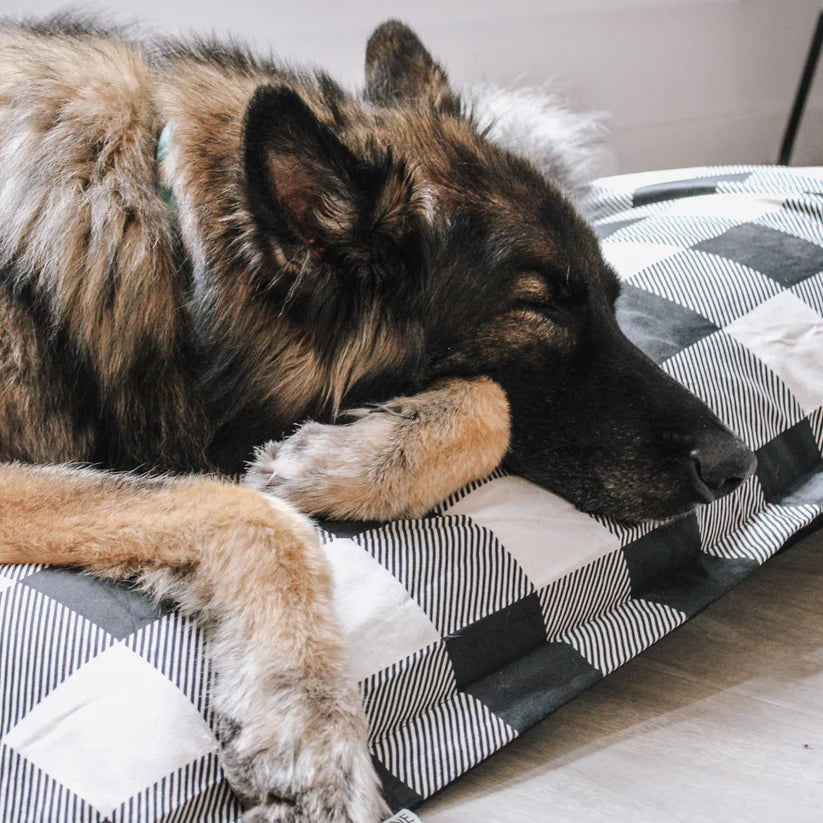 Lits et coussins pour chiens : qualité et design BeOneBreed