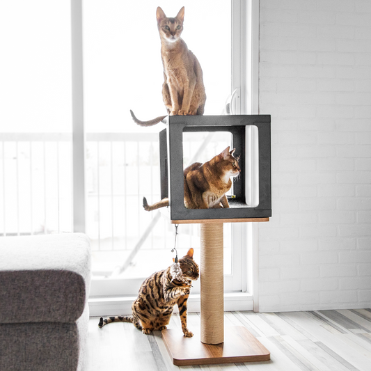 Cat trees accessories BeOneBreed