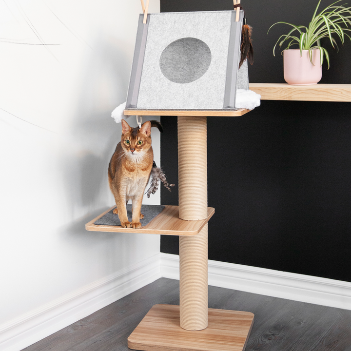 Cat trees & accessories – BeOneBreed