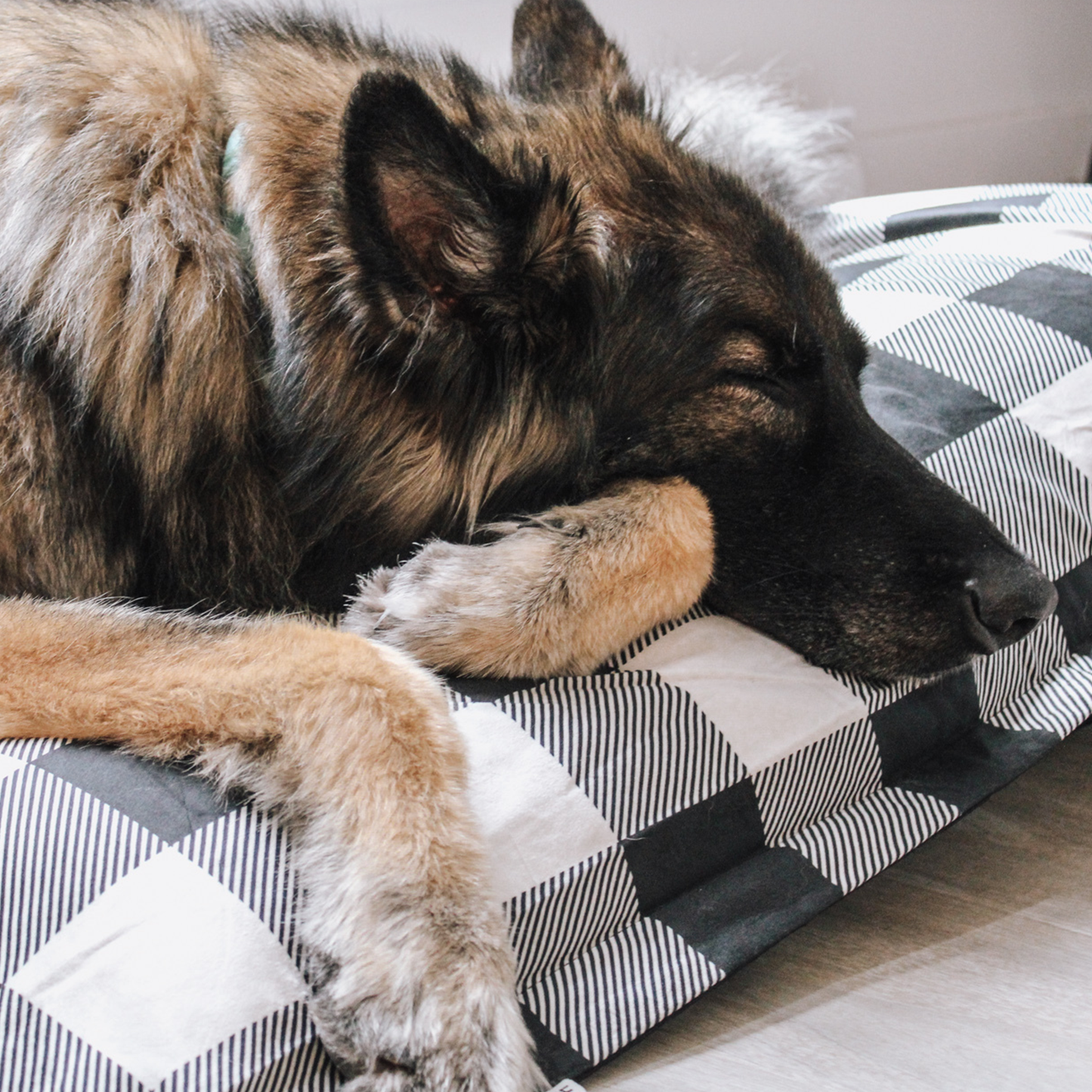 Cloud pillow bundle with cover and water resistant liner