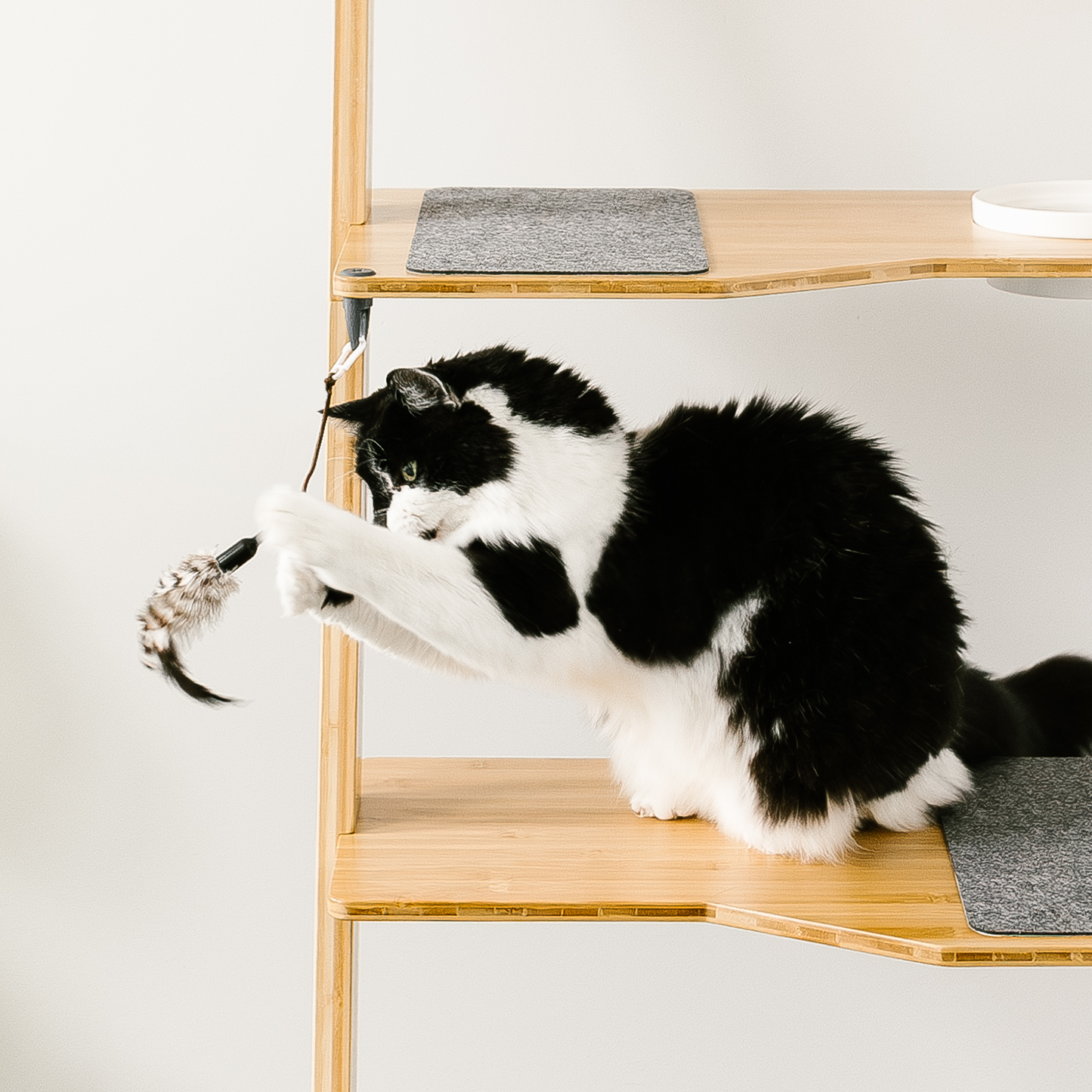 Cat tower accessories outlet