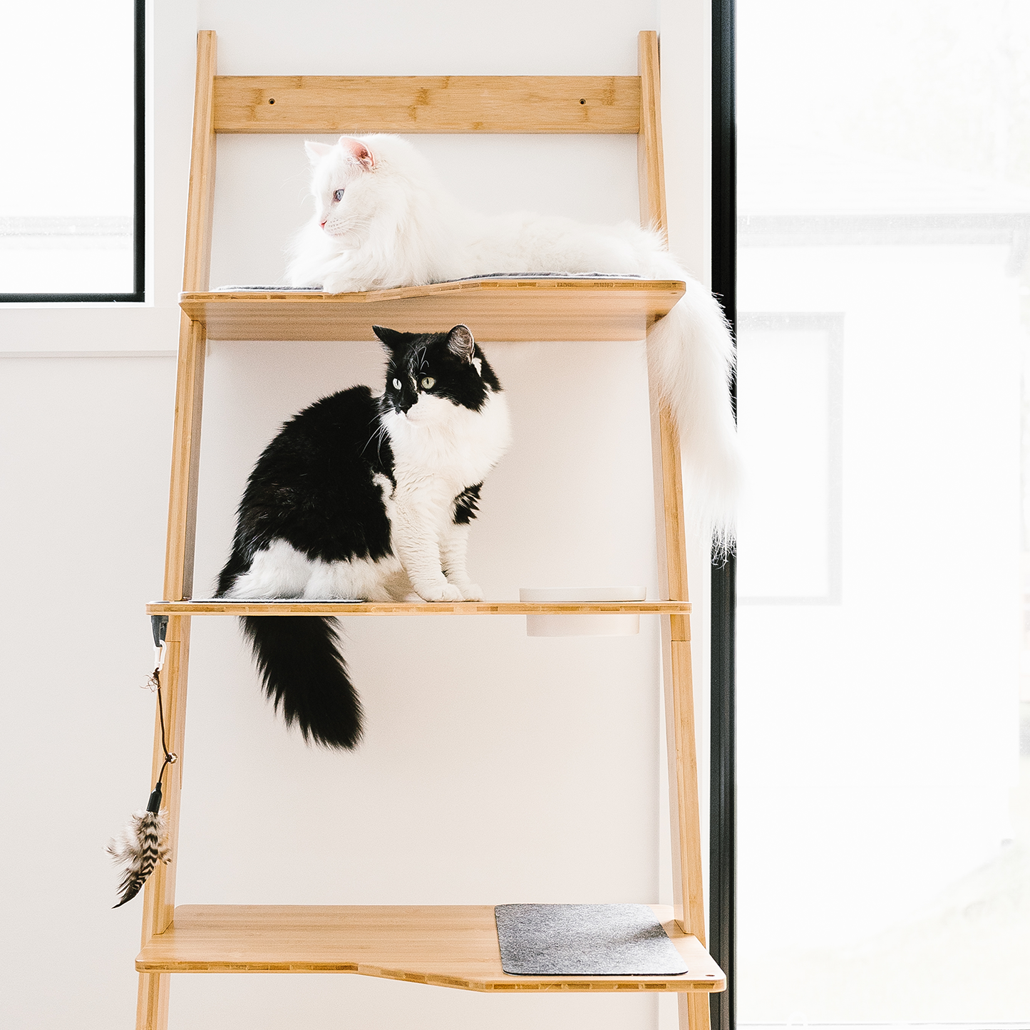 Cat tower accessories outlet