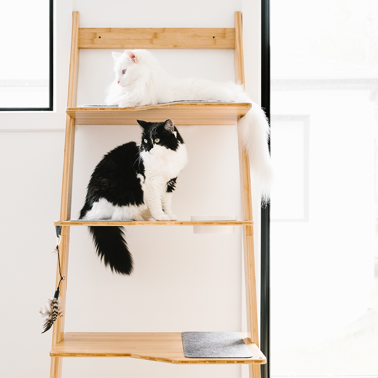 multi-story modern cat tree with accessories, beige wood