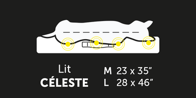 Sky Bed sizes