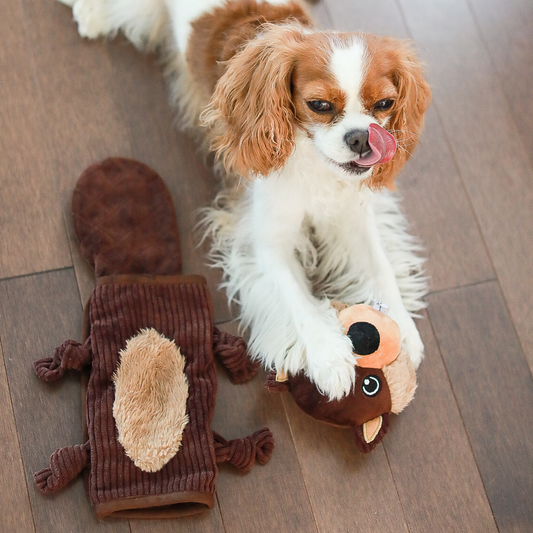 Banjo teddy fabric dog toy beige - Laroy Group