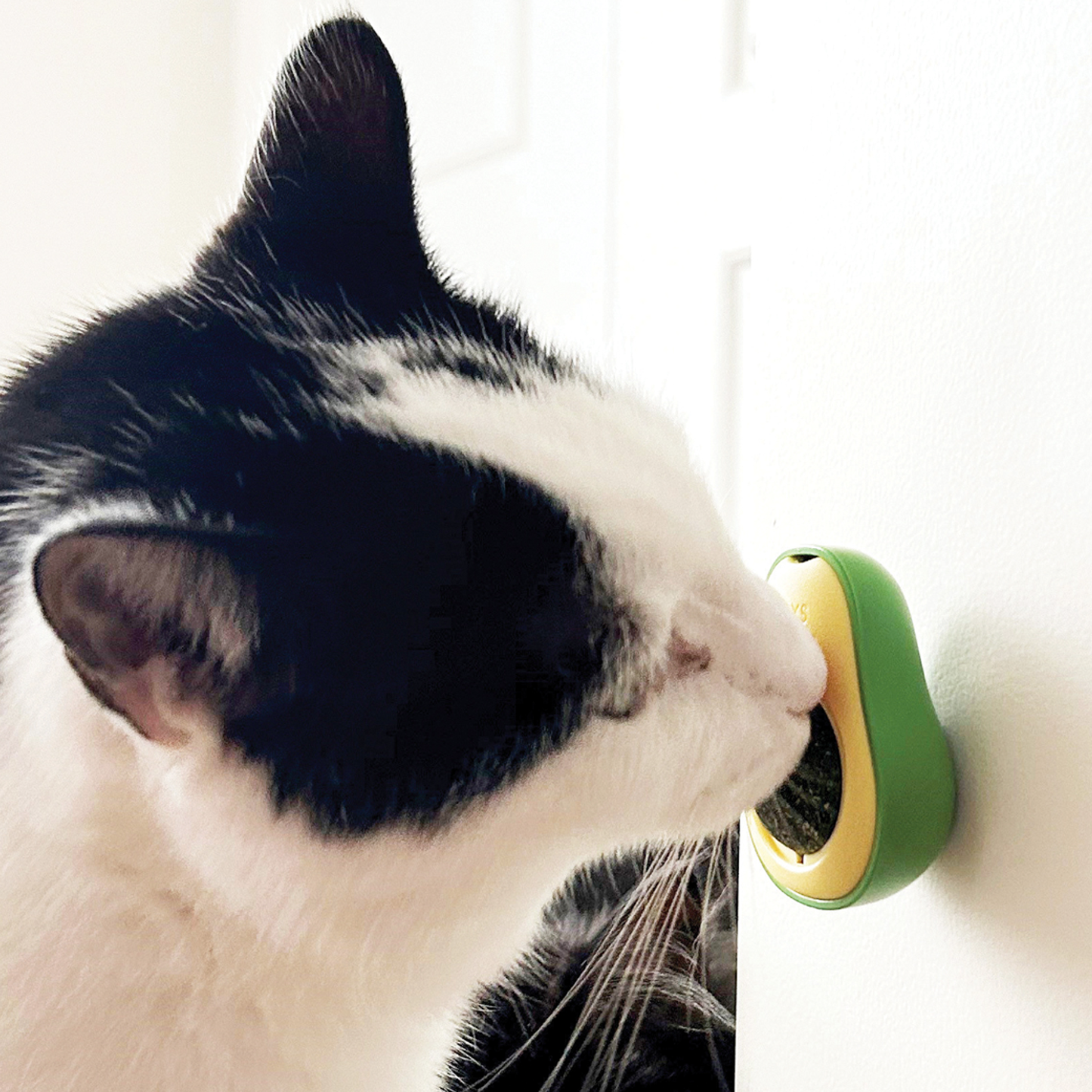 Catnip avocado cat toy
