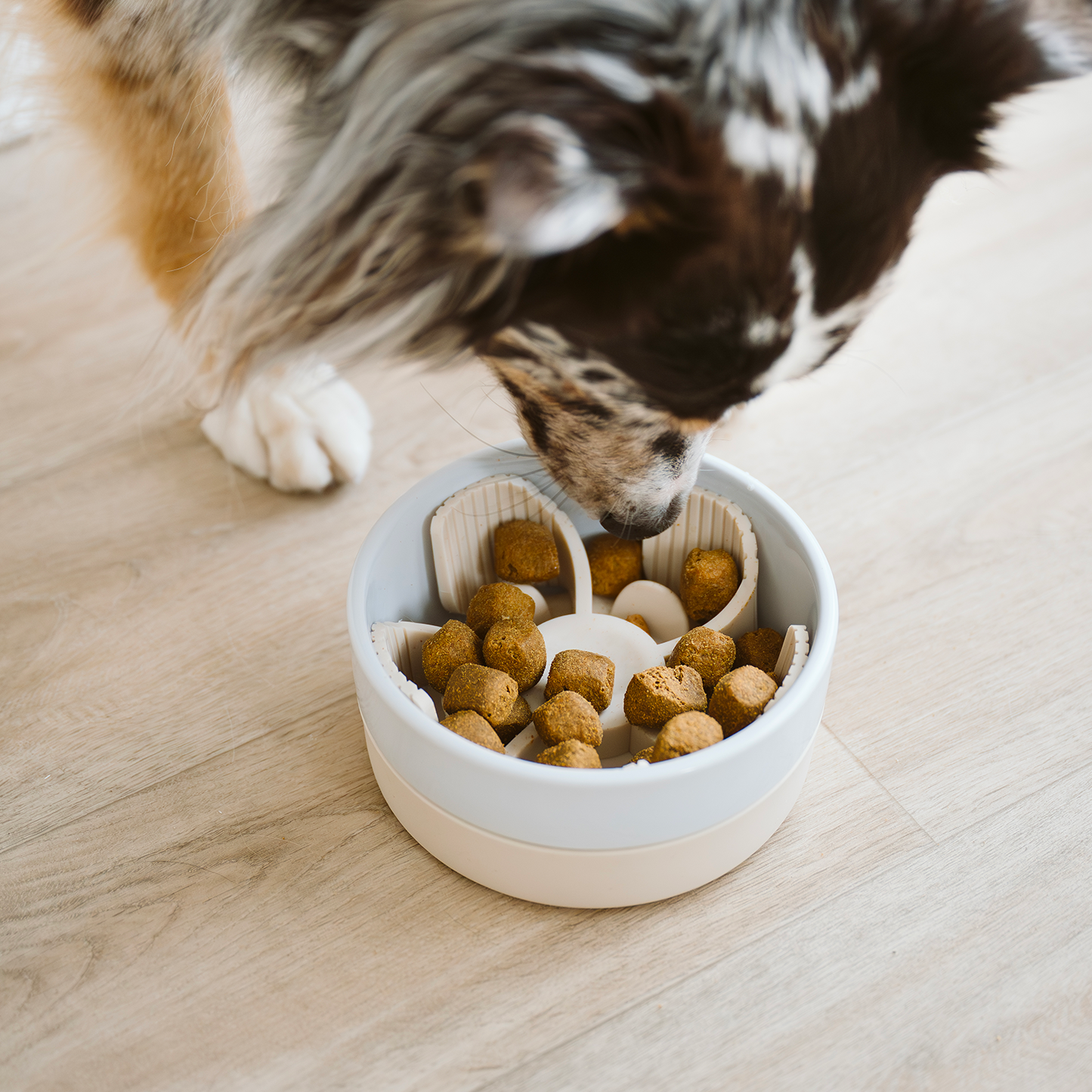 Ceramic bowl with non-slip silicone base
