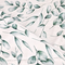 Eucalyptus texture