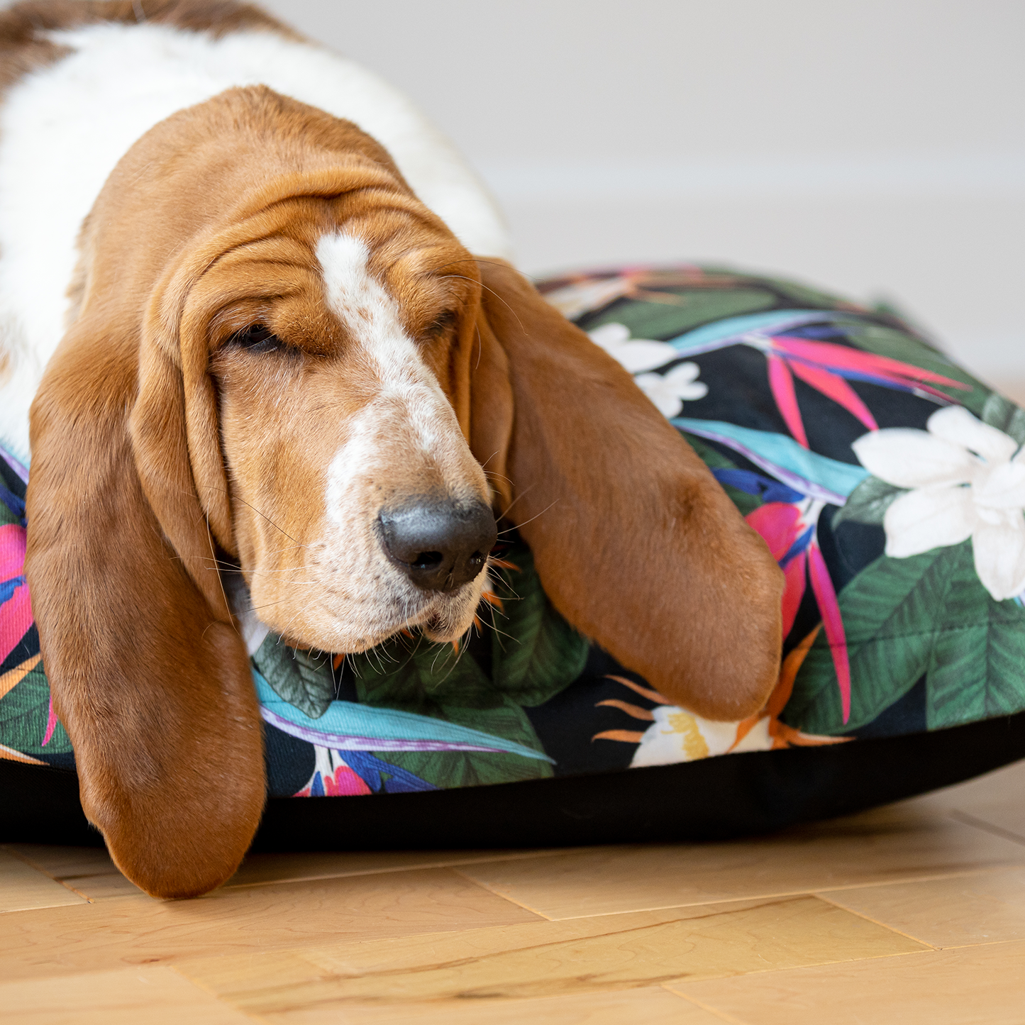 Housse stylisée pour coussin nuage, 2 tailles