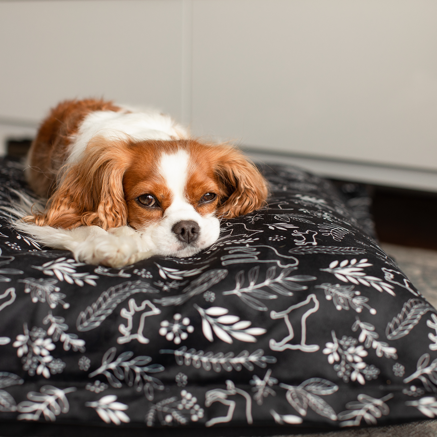 Housse stylisée pour coussin nuage, 2 tailles