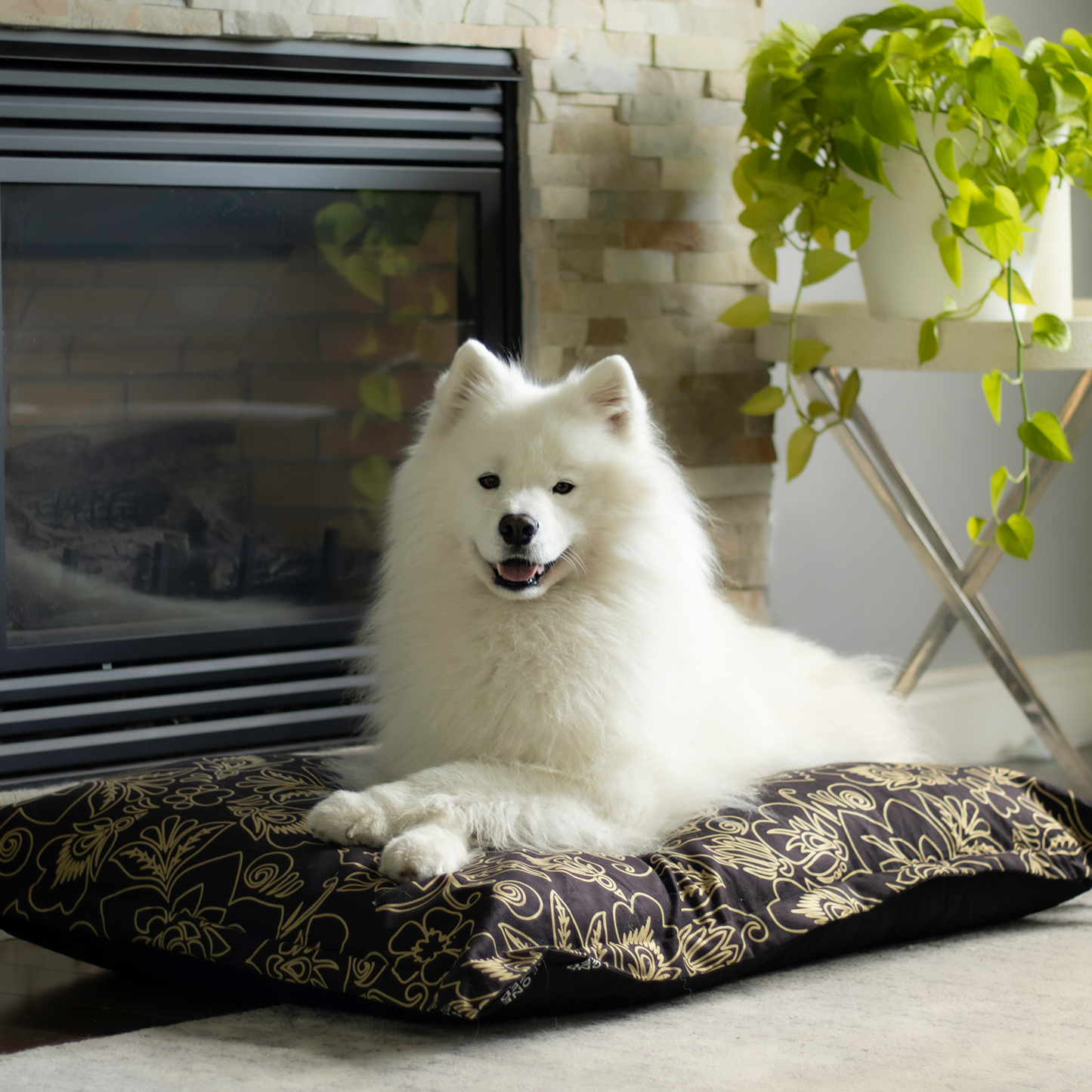 https://canada.beonebreed.com/cdn/shop/files/cloud-pillow-stylish-cover-gold-flowers-for-pet-3_1445x.png?v=1703011259