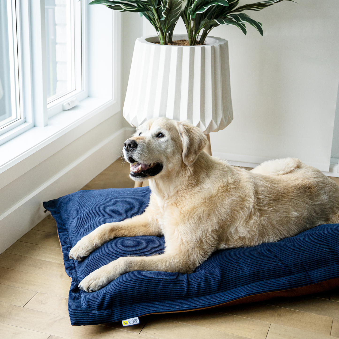 Supplementry cloud dog bed cover, reversible corduroy