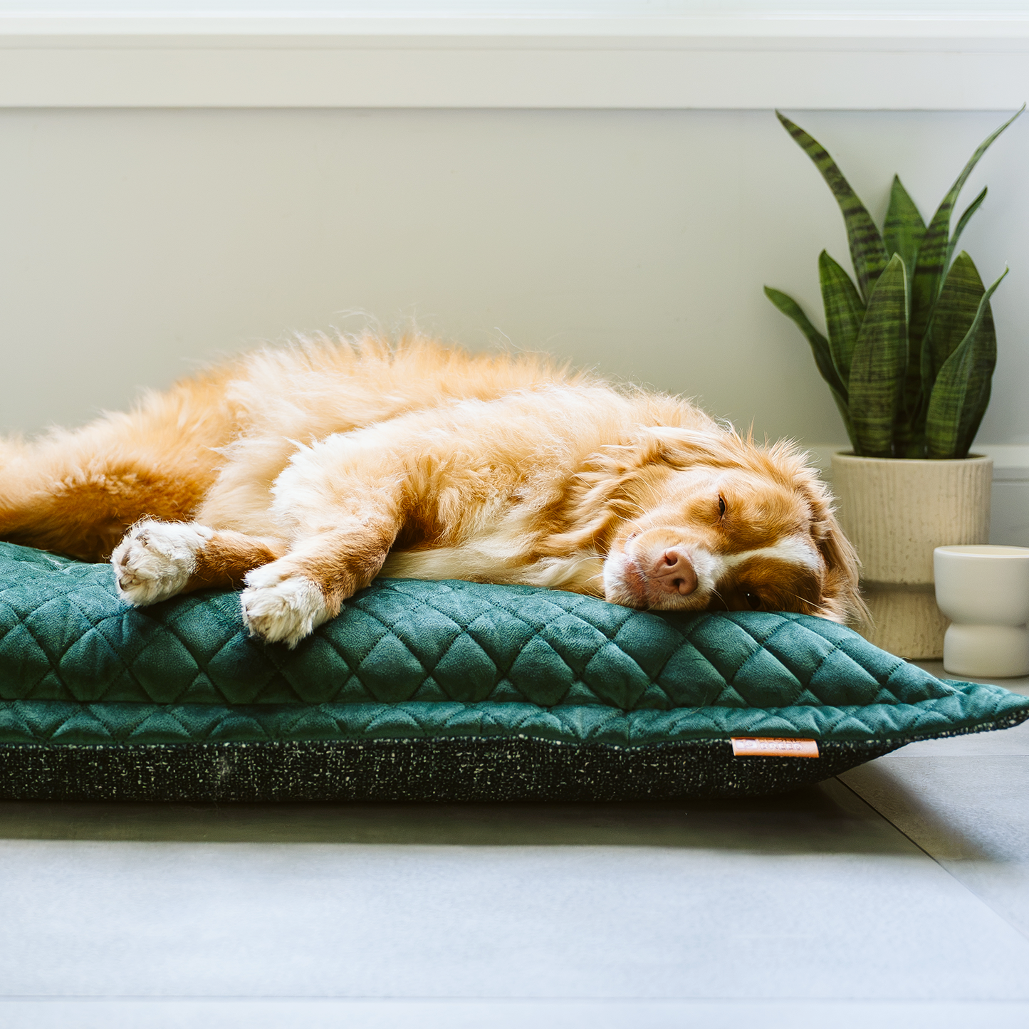 Cloud pillow stylish spare cover, 2 sizes