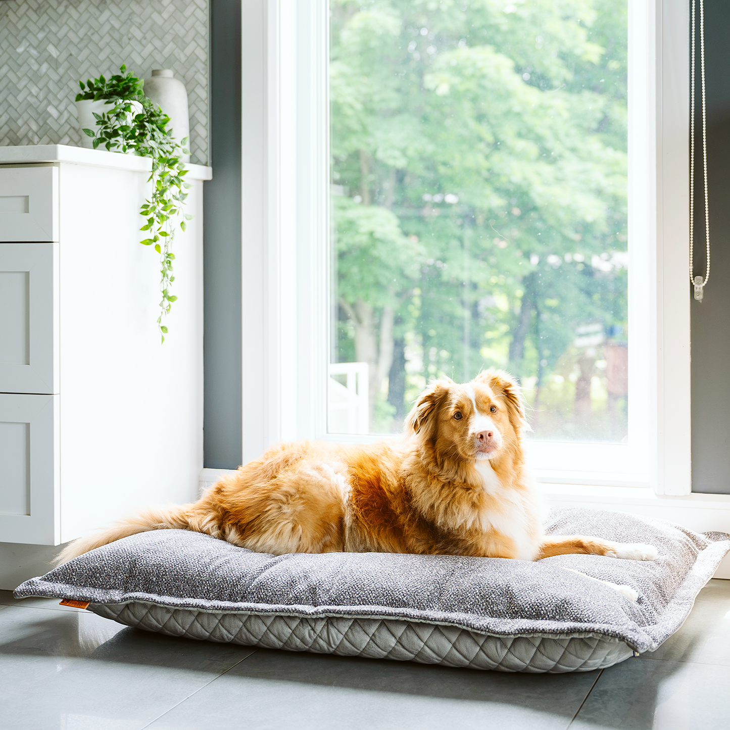 Cloud pillow stylish spare cover, 2 sizes