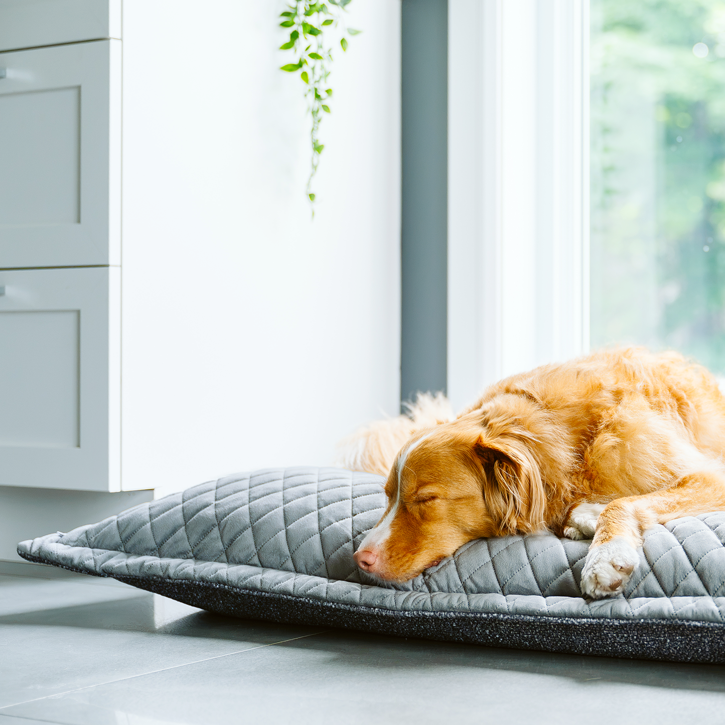 Cloud pillow stylish spare cover, 2 sizes