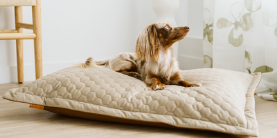 Cloud Pillow Bed