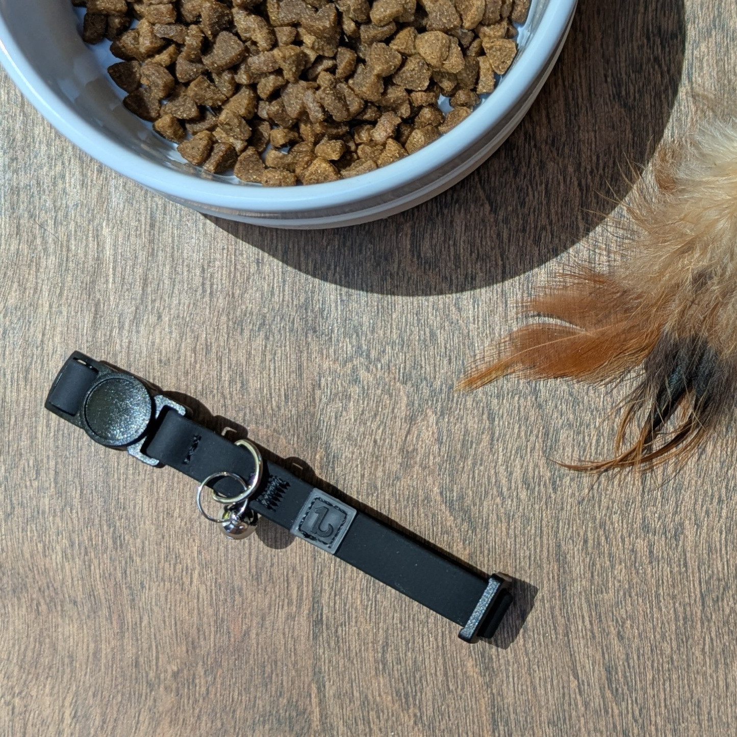 Silicone cat collar with breakaway buckle