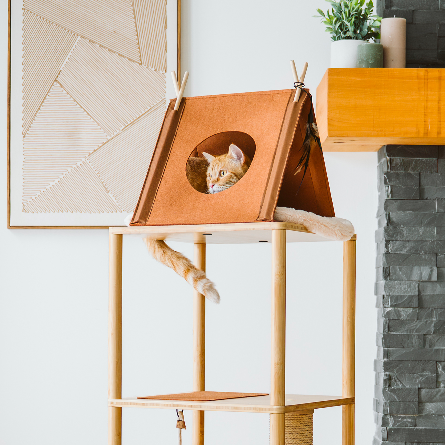 Cozy cat teepee