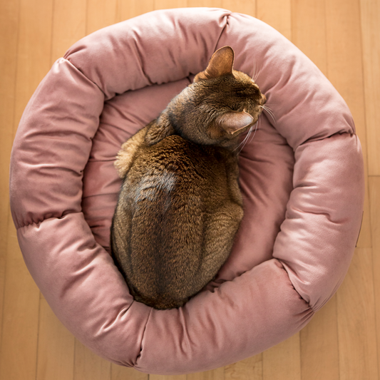 Luster Loft Pet Blanket, Best for Shedding Dogs & Cats